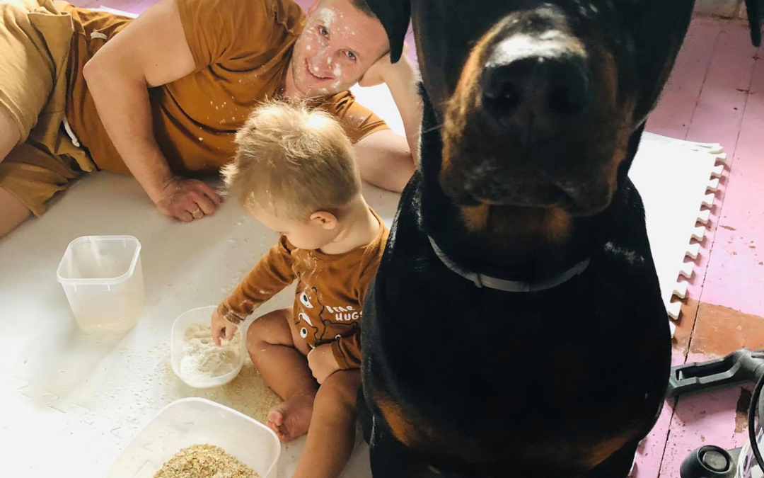 Pies i Dziecko